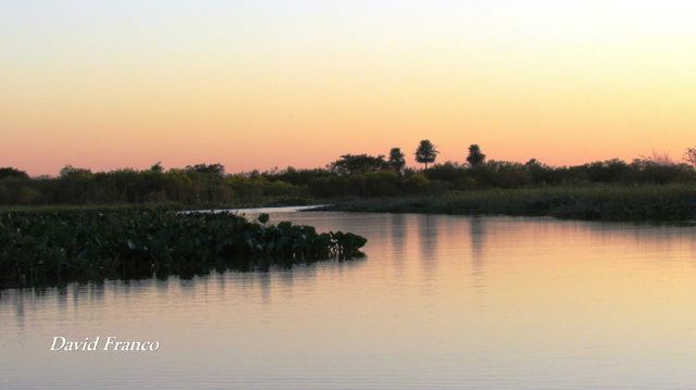 Comunicado de la agrupación YVY MARAY
