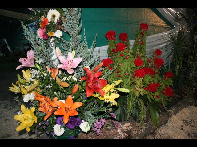 Vivió a pleno la Feria y la Expo Flor