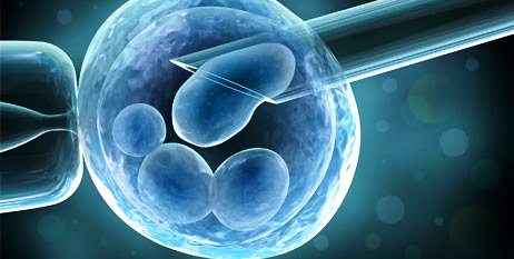 Nueve nacimientos por inseminación gratuita