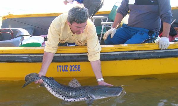 Se inicia el concurso de pesca