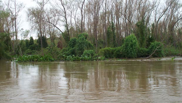 Firman acuerdo de cooperación para la pesca deportiva