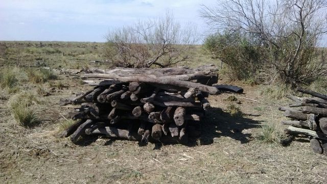 Secuestros y aprehendidos por Abigeato en Villa Ocampo