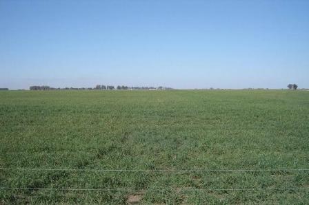 Una comisión coordinará el trabajo para revaluar campos