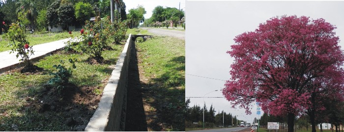 El Gobierno apuesta a los espacios verdes