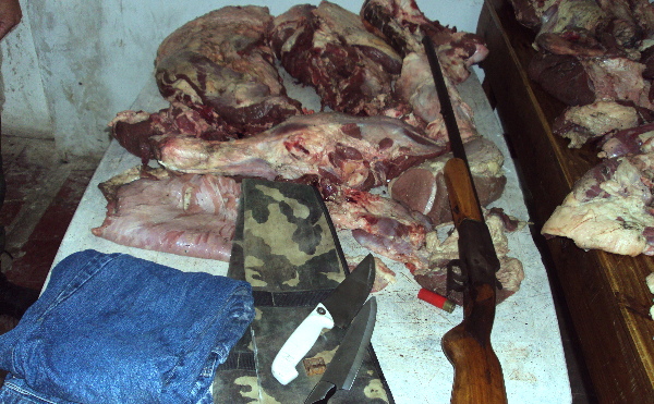 Esclarecen un hecho de abigeato