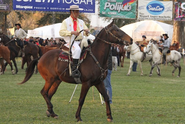 Una muestra de excelencia