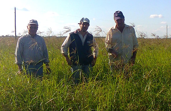 Jornada en planificación forrajera