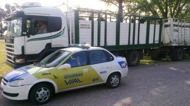 Intervino en infracciones relacionadas con animales