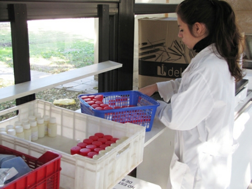 Avances en la mejora continua de laboratorios lácteos