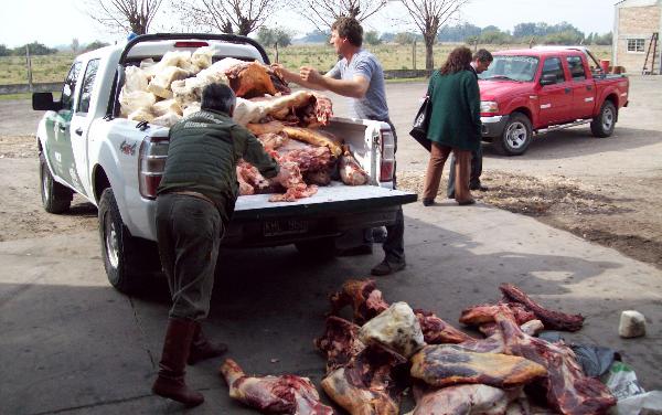 Decomisaron 855 kilos de carne vacuna