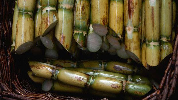 Herramienta para evaluar ventajas e inconvenientes