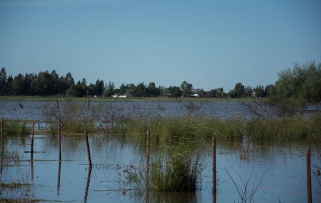 Actividades y recomendaciones en el marco de la alerta hídrica
