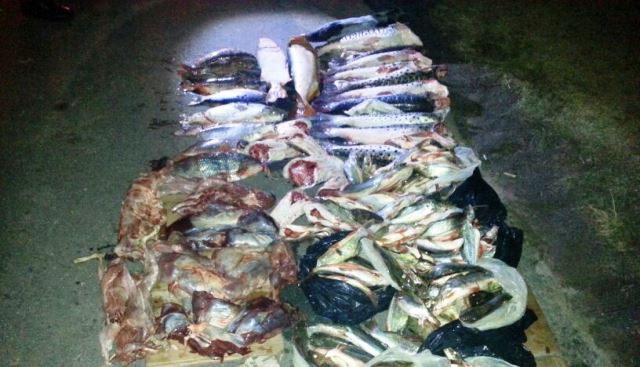 Patrullajes con secuestros varios