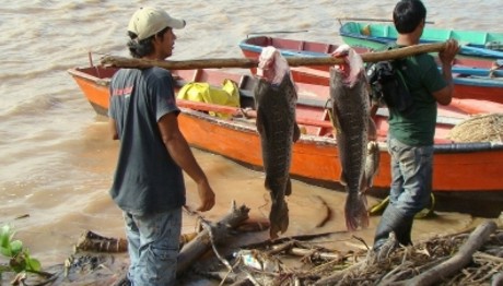 Veda de pesca comienza el 4 de noviembre