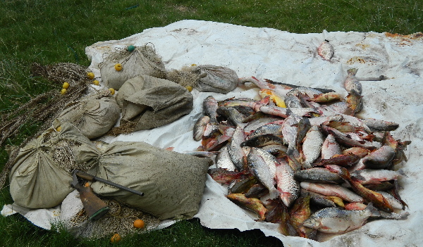 Varios hechos esclarecidos