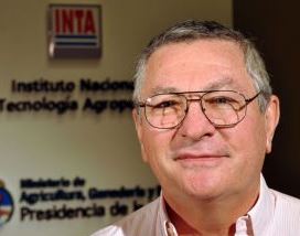 Una pulseada perdida por el algodón