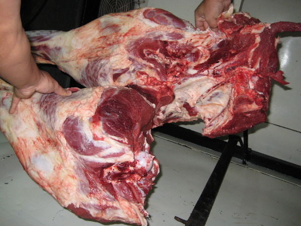 Secuestro de arma de fuego