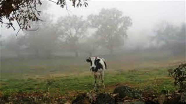 Verano lluvioso y con tormentas severas