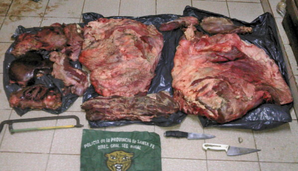 Secuestran un millar de peces en mal estado