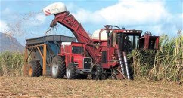 Predicen condiciones favorables