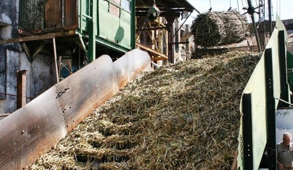 Buenos rindes con precios bajos