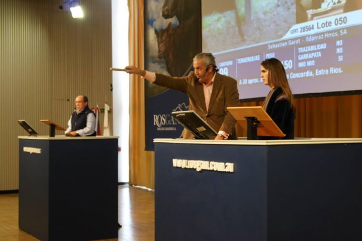 Inundaciones y buena demanda de invernada marcaron los precios del Rosgan