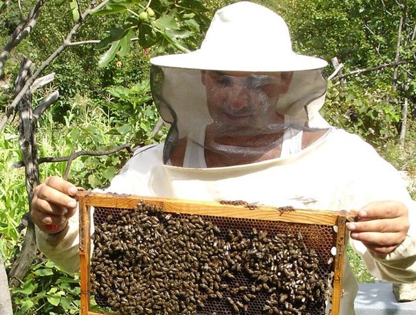 Podrán inscribirse en el Registro de Producciones Primarias