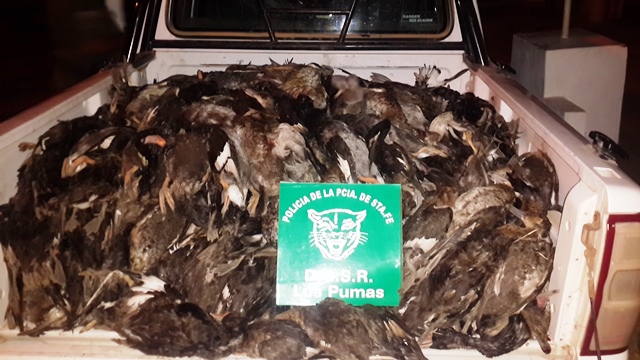 Atrapan a cazadores furtivos