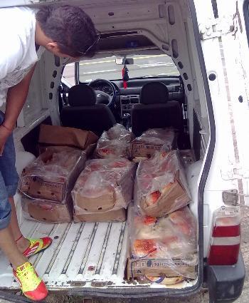 Secuestro de 800 pollos