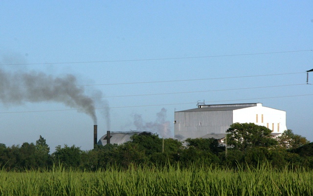 Continúa la molienda