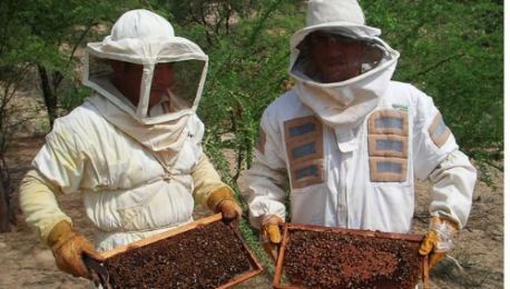 Reunión Plan Sanitario provincial