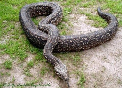 Varios hechos esclarecidos