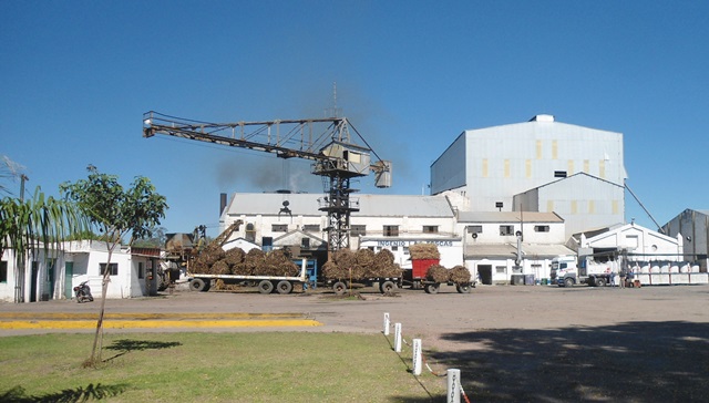 Finalizó la zafra 2014