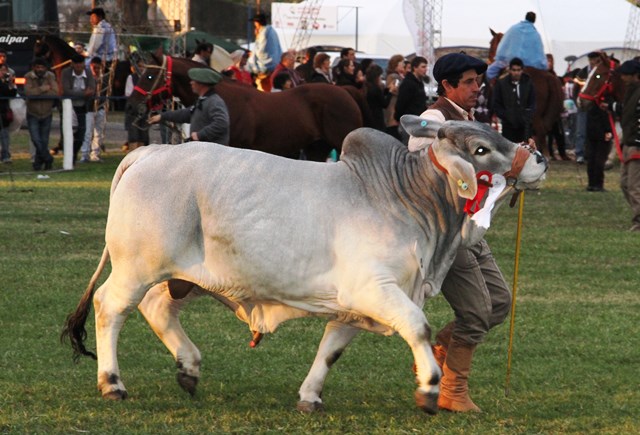 Una muestra de excelencia