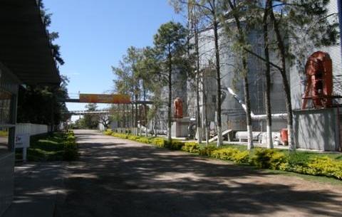 Volvió a producir el Molino