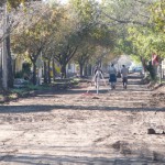 17298750195595b77ea67bf