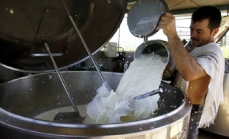 Santa Fe busca evitar una crisis histórica de la lechería