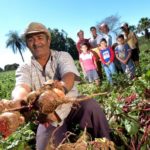 AGRICULTURA-FAMILIAR