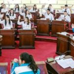 diputados por un dia