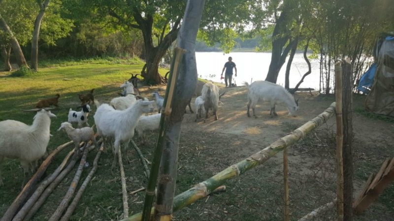 2016-09-16nid_240963o_1