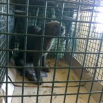 bbfd101f-a908-4c22-abd7-c0a9f4f5aa32