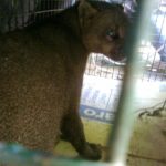 ce8f5e41-c122-41d0-9d29-6d5ef663d2cc