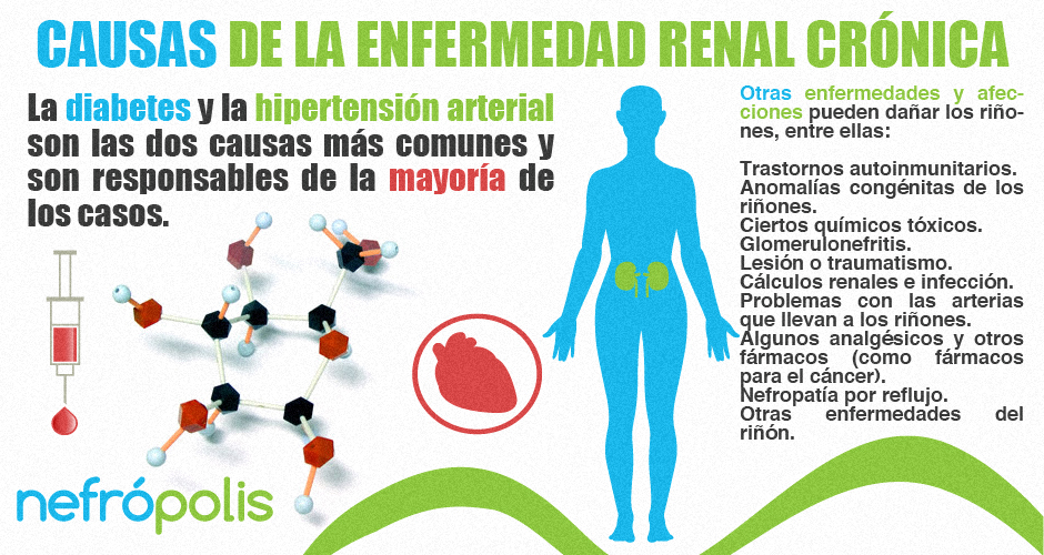 enfermedad-renal
