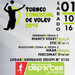 voley