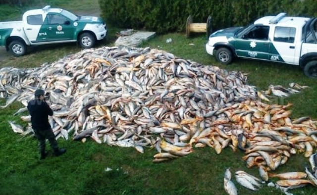 EXPORTACION PESCADO RIO 02