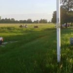 sombrerito-camioneta