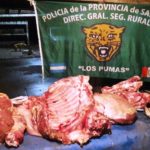 pumas-carne