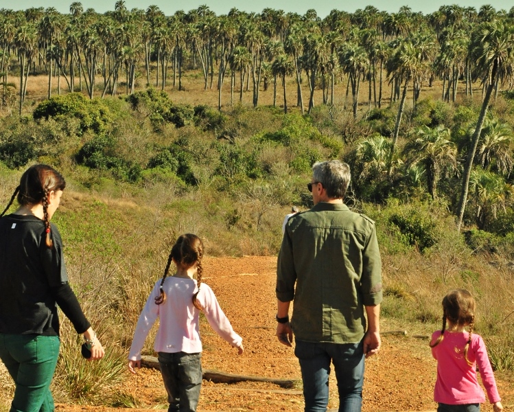 Colón-Parque Nacional El Palmar (92)