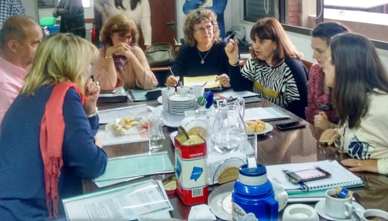 estela ley discapacidad