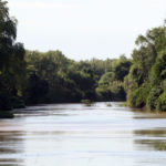Parque Nacional Pre Delta, Fauna y Flora